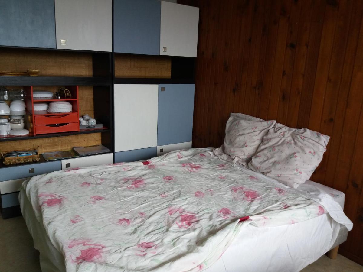 Studio Aux Pieds Des Pistes Besse-et-Saint-Anastaise Eksteriør billede