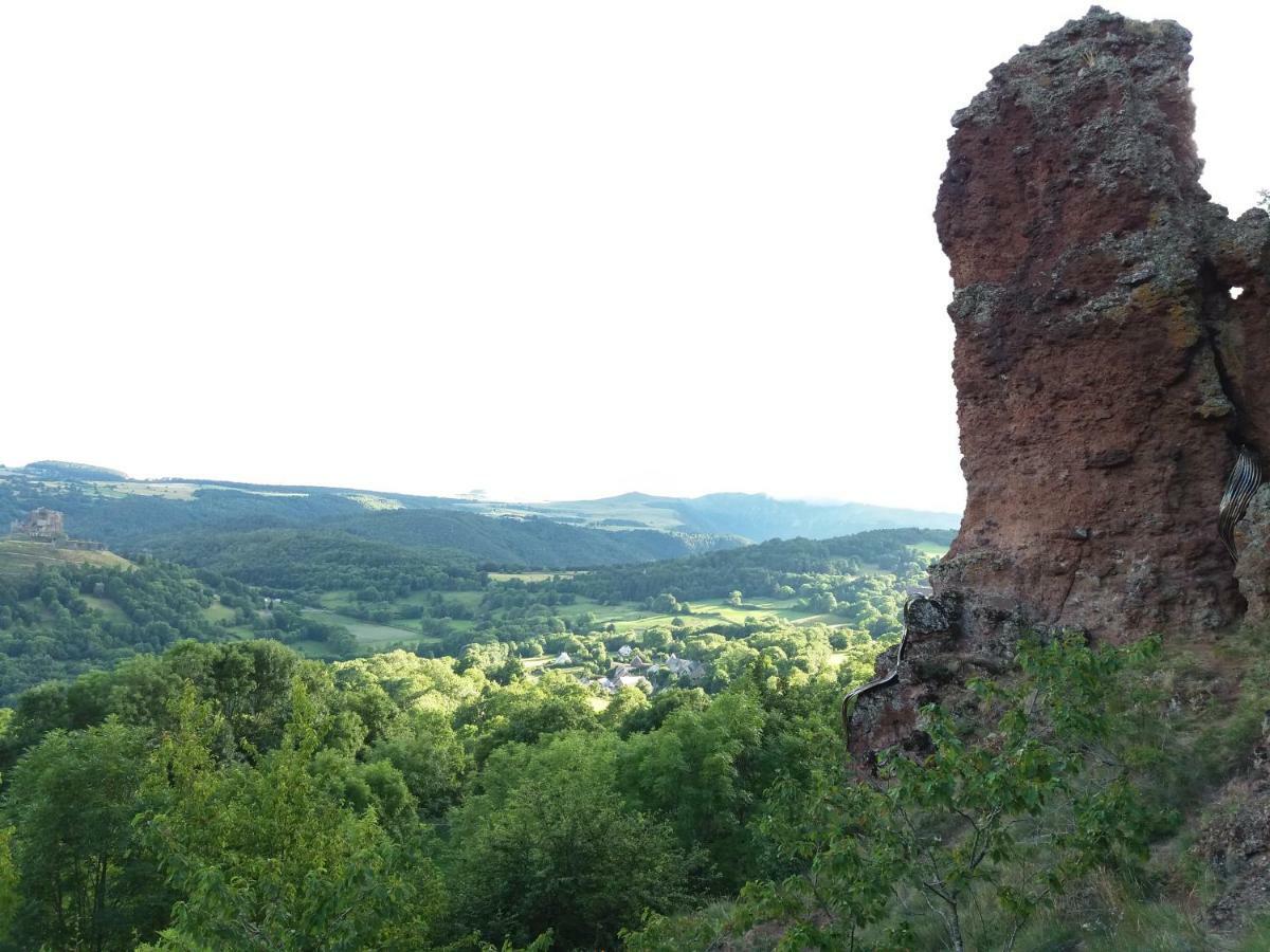 Studio Aux Pieds Des Pistes Besse-et-Saint-Anastaise Eksteriør billede