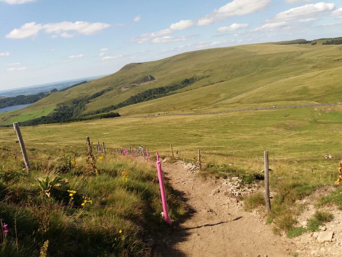 Studio Aux Pieds Des Pistes Besse-et-Saint-Anastaise Eksteriør billede